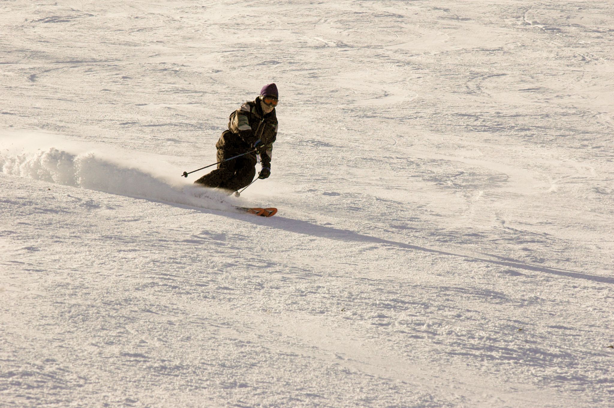 20060110 DSC 6661